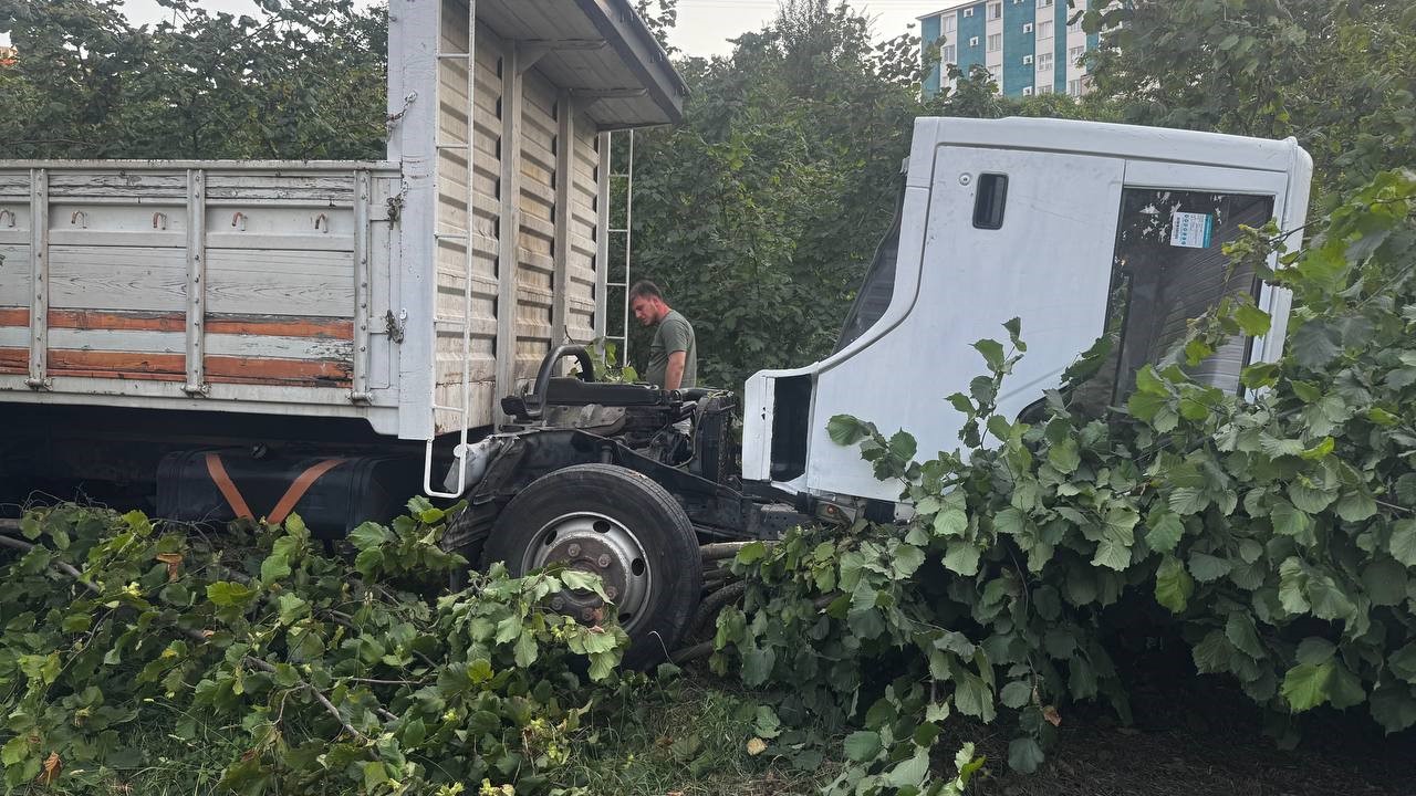 Zonguldak'ın Alaplı ilçesinde kupası çıkınca kontrolden çıkan kamyonet, fındık bahçesine