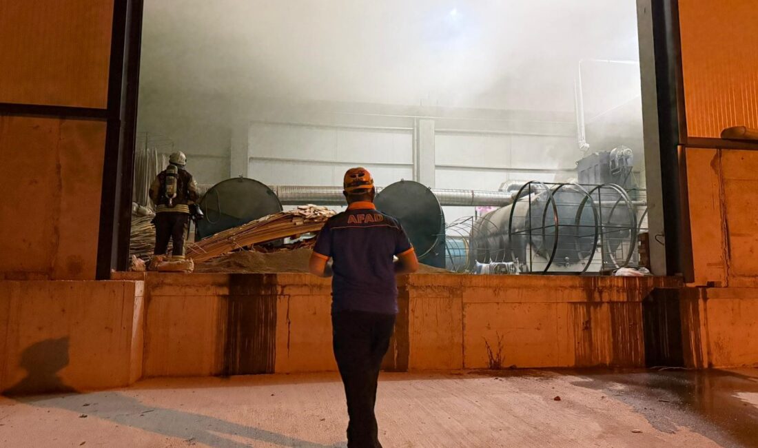 Kocaeli'nin Körfez ilçesinde, sanayi kuruluşu faaliyetlerine kapalı bir bölgede izinsiz