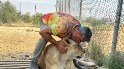 Diyarbakırlı iş adamı Ahmet Akbey, Irak'ın Duhok kentinde 14 aslanıyla