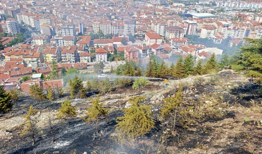 Afyonkarahisar'da, Hıdırlık tepesi mevkisindeki ağaçlık alanda başlayan ot yangını, ekiplerin