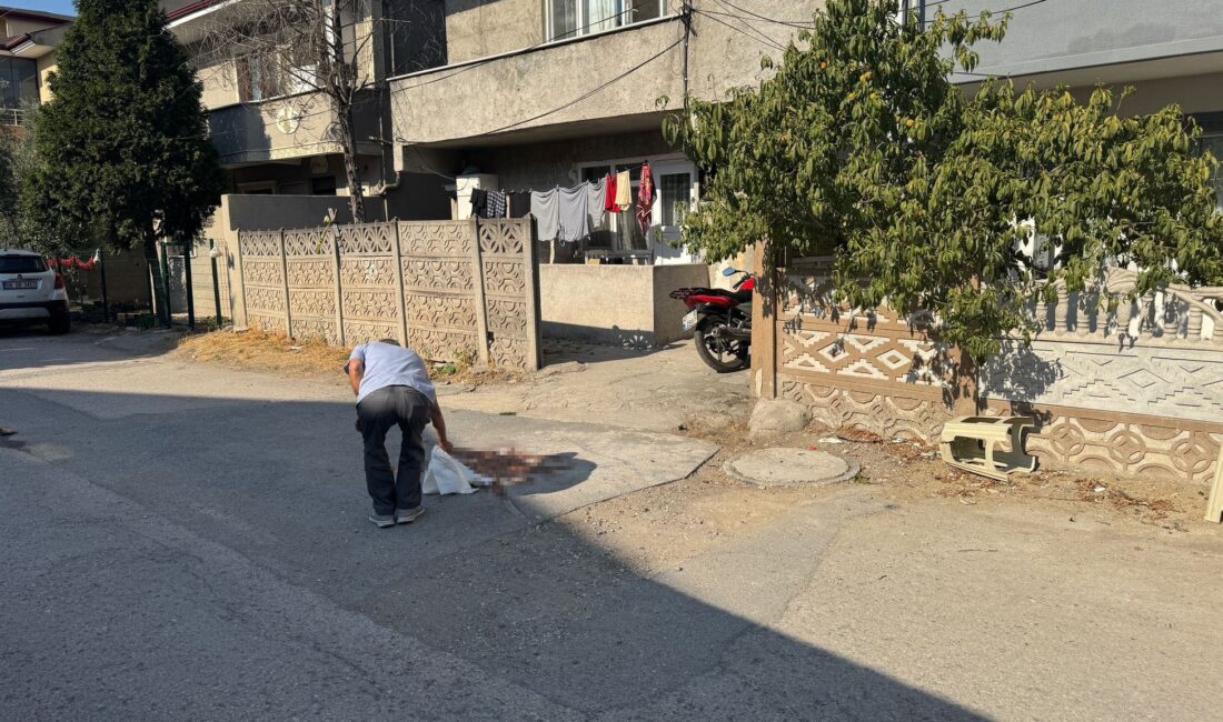 Sakarya'nın Erenler ilçesinde yaşanan elim bir olayda, B.A. isimli şahıs,