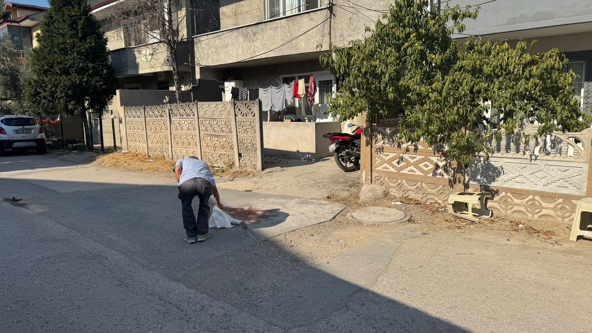 Sakarya'nın Erenler ilçesinde yaşanan elim bir olayda, B.A. isimli şahıs,