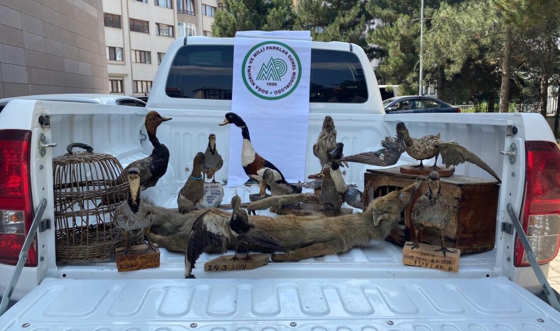 Afyonkarahisar'da, CİMER'e yapılan bir şikayet üzerine harekete geçen Doğa Koruma