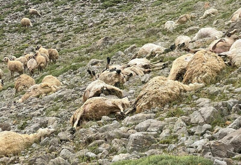 Tunceli'nin Ovacık ilçesine bağlı bir yaylada, öğleden sonra etkili olan