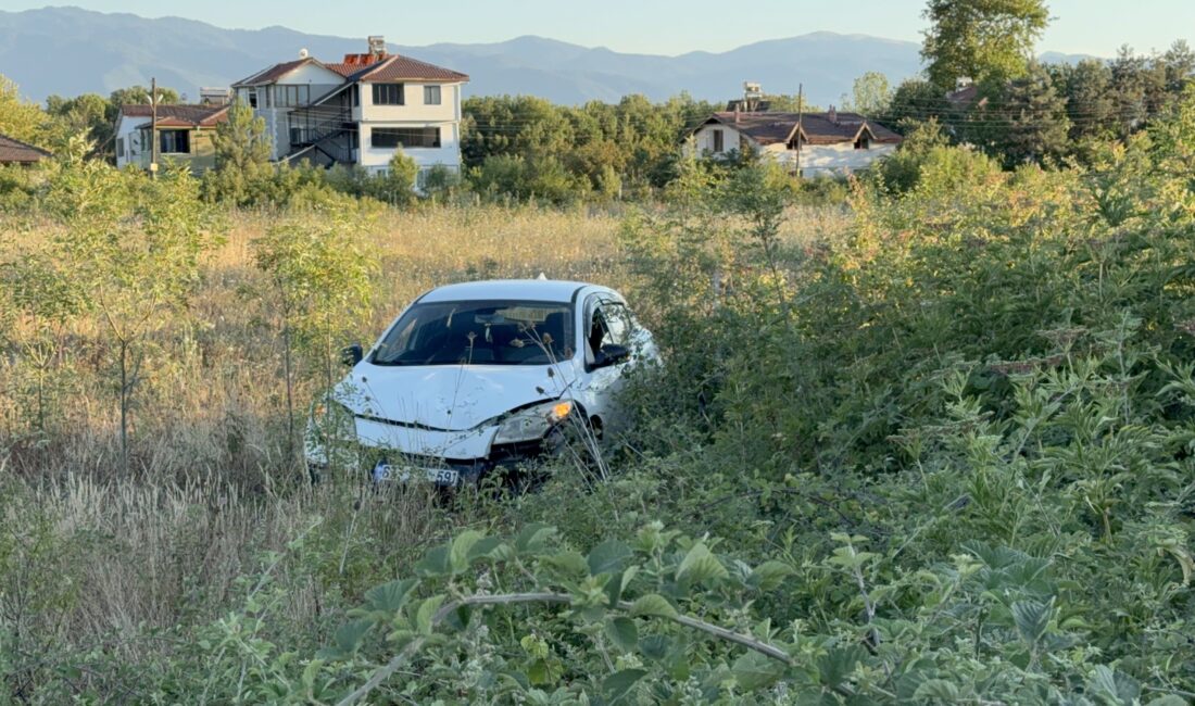 Düzce'de, seyir halindeyken yola çıkan büyükbaş hayvana çarpmamak için sürücüsünün