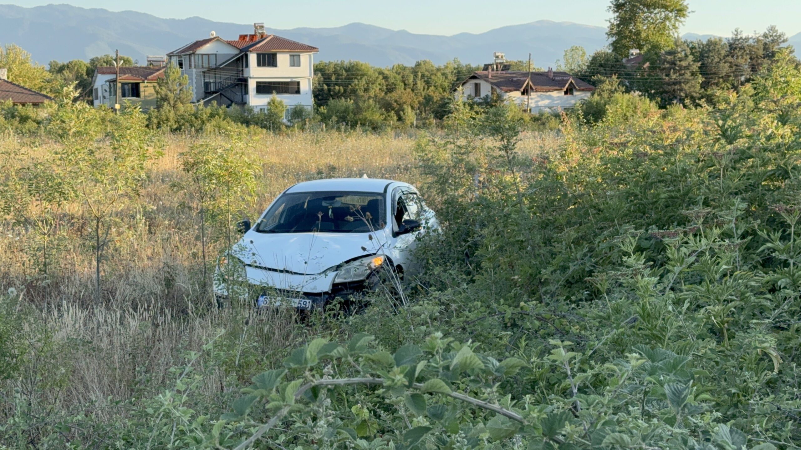Düzce'de, seyir halindeyken yola çıkan büyükbaş hayvana çarpmamak için sürücüsünün