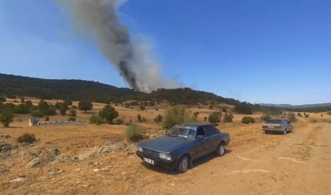 Eskişehir’in Seyitgazi ilçesine bağlı Fethiye ve Büyük Yayla Mahalleleri civarında