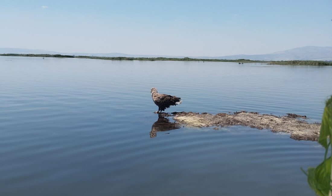 Afyonkarahisar ile Denizli sınırındaki doğal cennet Işıklı Gölü, bu kez