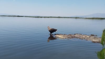 Afyonkarahisar ile Denizli sınırındaki doğal cennet Işıklı Gölü, bu kez