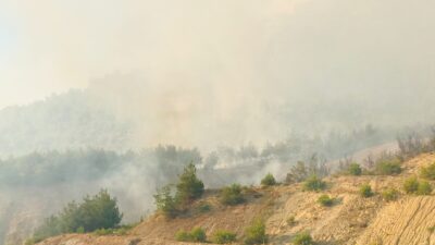 Sakarya'da başlayarak rüzgarın etkisiyle Bilecik'in Osmaneli ilçesine sıçrayan orman yangını,