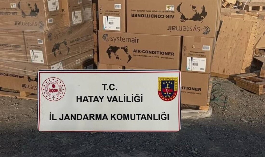 Hatay'ın Arsuz ilçesinde inşaat alanından piyasa değeri yaklaşık 1 milyon