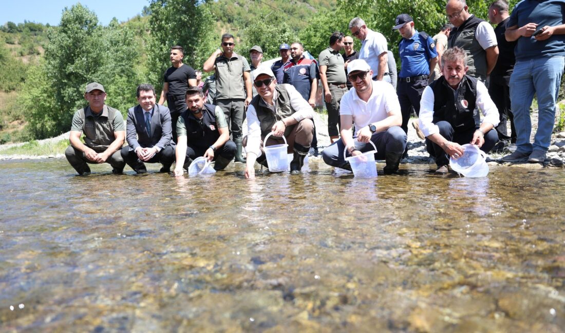 Düzce'de, Doğa Koruma ve Milli Parklar Müdürlüğü tarafından yürütülen proje