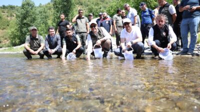 Düzce'de, Doğa Koruma ve Milli Parklar Müdürlüğü tarafından yürütülen proje