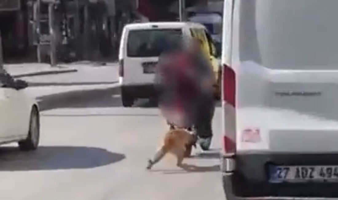 Gaziantep'te bir köpeğin motosikletin arkasına bağlanarak sürüklendiği anlara ait görüntülerin