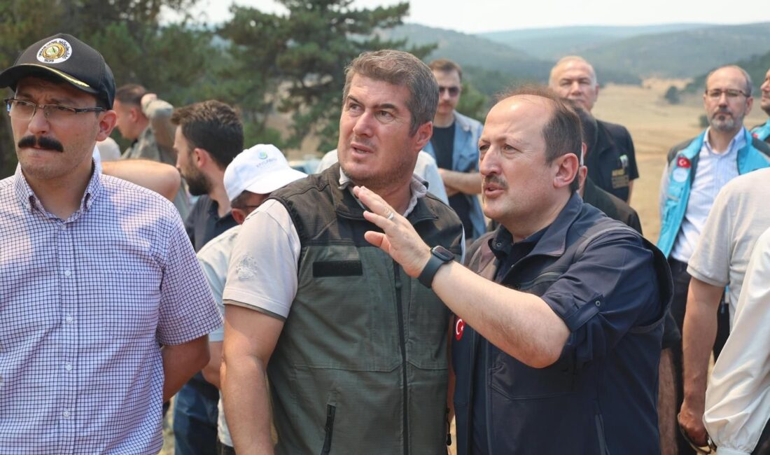 AFAD, ülkenin farklı noktalarında devam eden orman yangınlarına ilişkin güncel