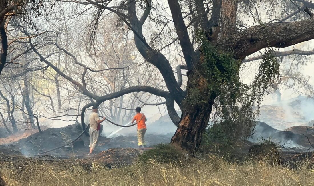 Antalya’nın Muratpaşa ilçesinde ormanlık alanda çıkan yangın korku dolu anlara