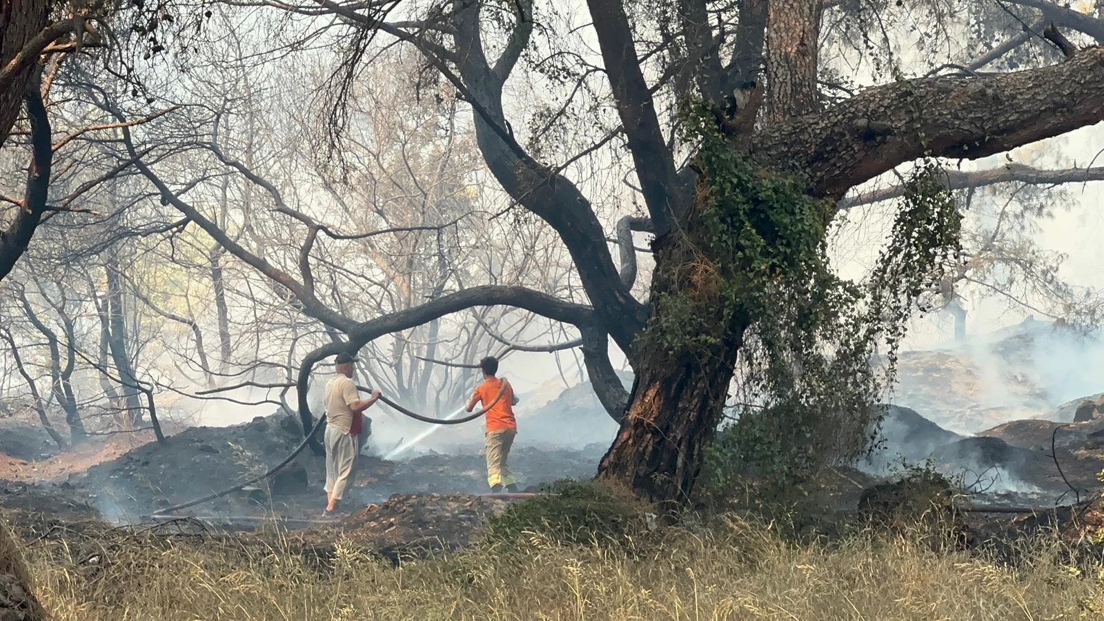 Antalya’nın Muratpaşa ilçesinde ormanlık alanda çıkan yangın korku dolu anlara