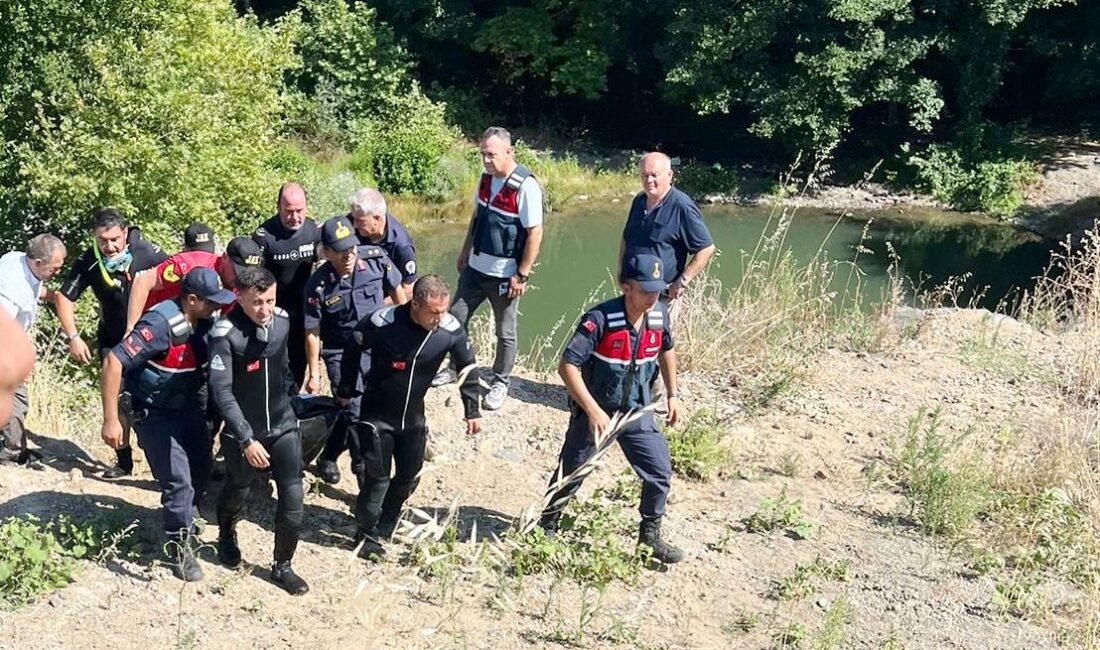 Samsun'un 19 Mayıs ilçesinde, serinlemek amacıyla dere yatağındaki bir gölete