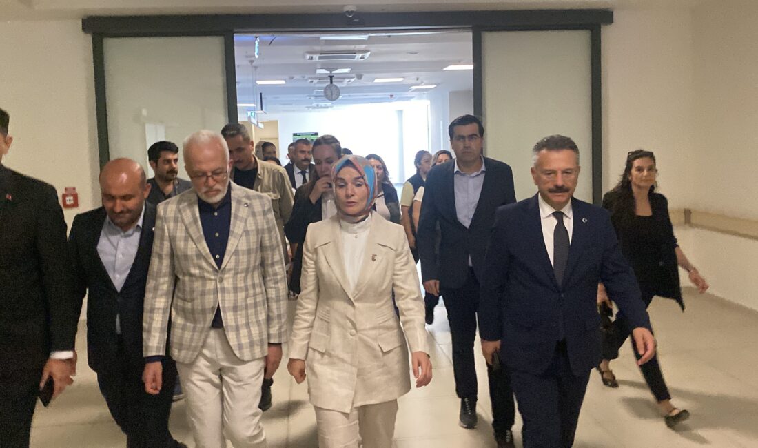 Eskişehir'in Seyitgazi ilçesindeki orman yangınında yaralanan ve hastanede tedavisi devam