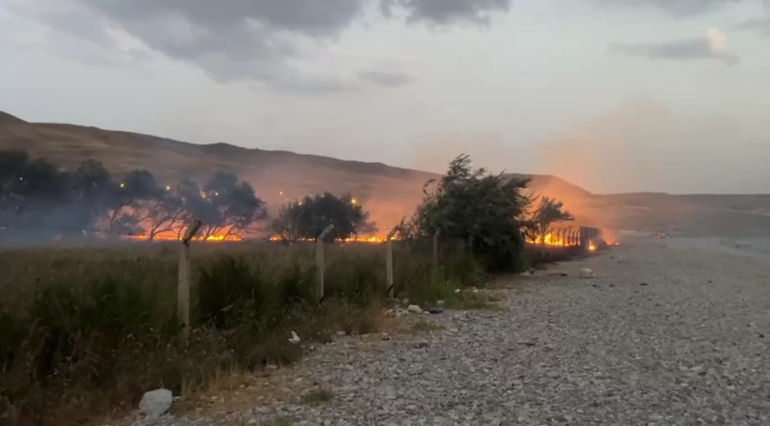  Van'ın Tuşba ilçesine ağaçlık alanda çıkan yangın itfaiye ekiplerinin zorlu
