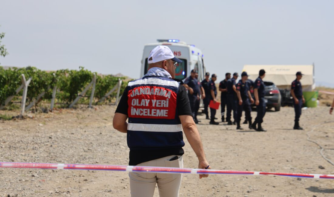 Elazığ'da, serinlemek amacıyla üzüm bağlarını sulamak için kullanılan havuza giren