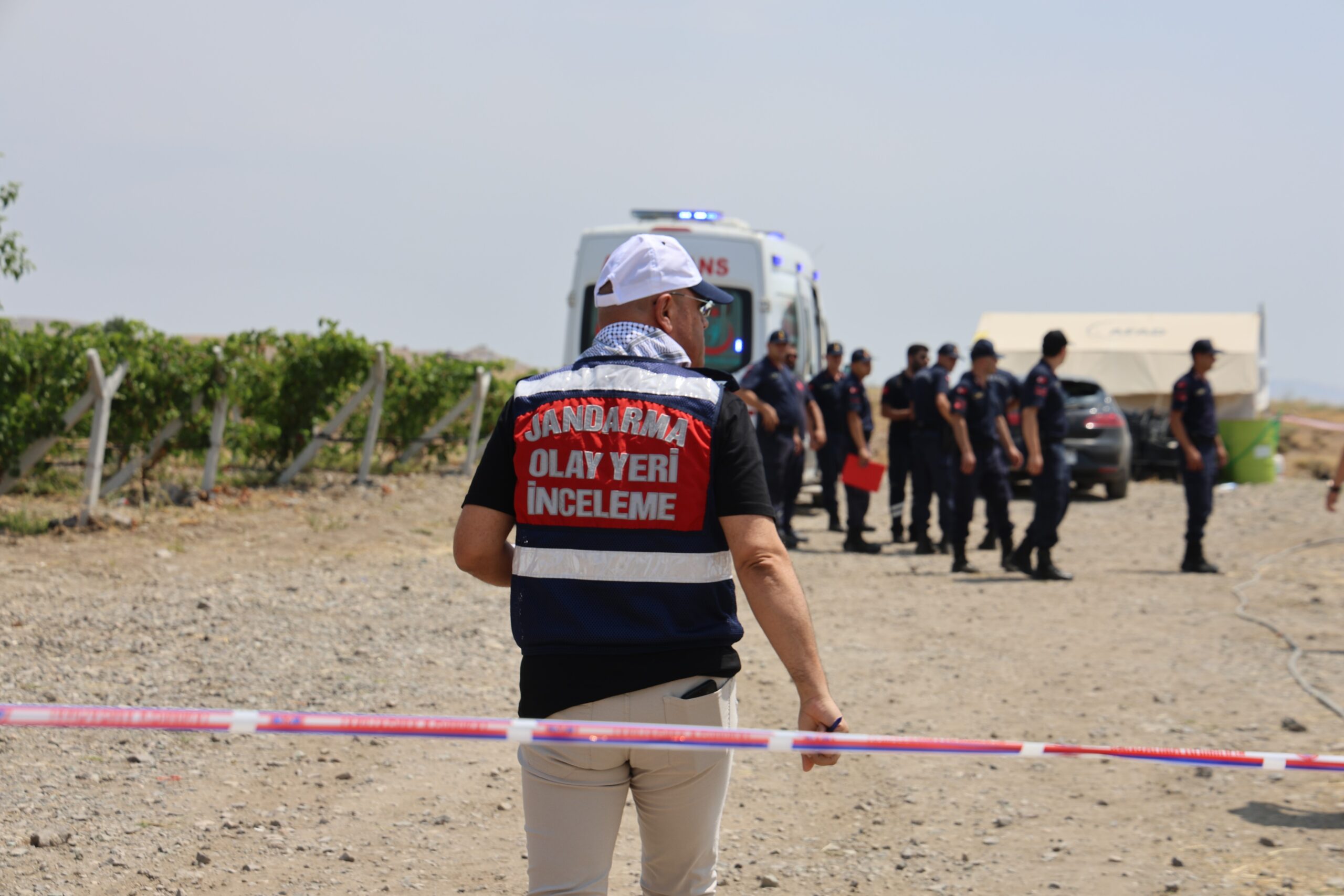 Elazığ'da, serinlemek amacıyla üzüm bağlarını sulamak için kullanılan havuza giren
