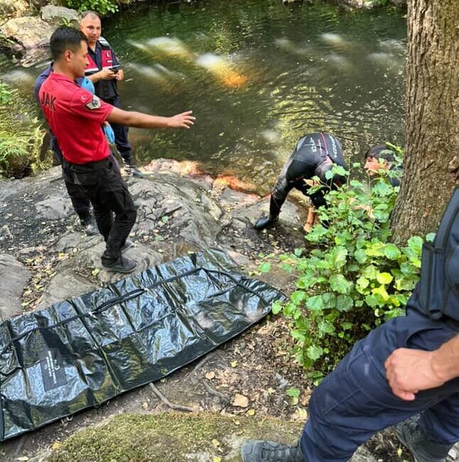İstanbul'un Çatalca ilçesinde, ailesiyle birlikte piknik yapmak için gittiği Binkılıç