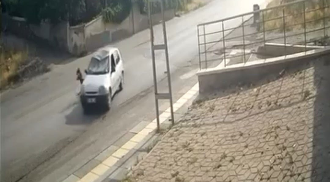 Ankara'da, hakkında kesinleşmiş hapis cezası bulunan bir şahıs, polis ekiplerinden