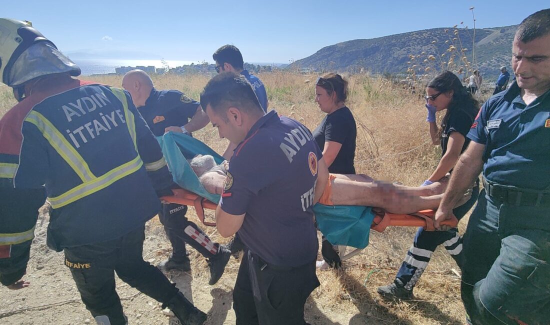 Aydın'ın Kuşadası ilçesinde, arazide patlıcan közlemek için ateş yakan emekli