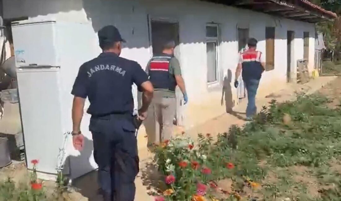 Muğla'nın Menteşe ilçesinde, jandarma ekipleri tarafından yürütülen titiz çalışmalar neticesinde,