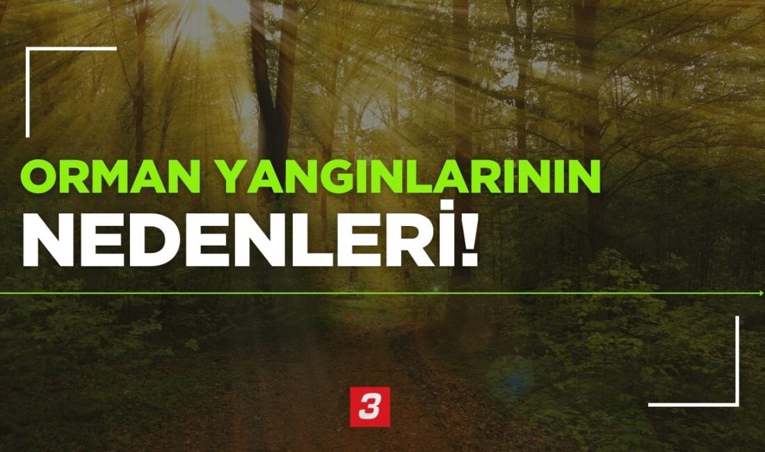 🔥 Doğal Nedenler Yıldırım düşmesi: En yaygın doğal orman yangını