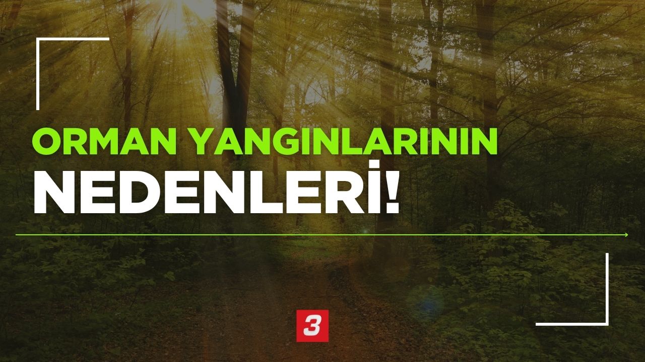 🔥 Doğal Nedenler Yıldırım düşmesi: En yaygın doğal orman yangını