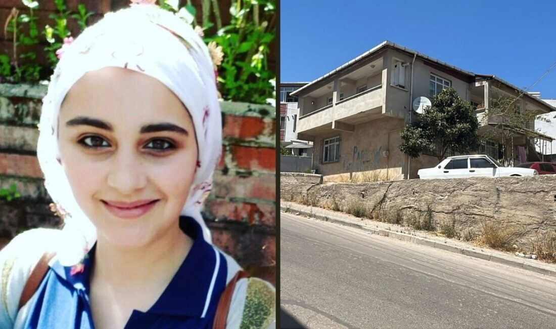 Kocaeli'nin Gebze ilçesinde 5 çocuk annesi Havva Y.'nin silahla öldürülmesine ilişkin