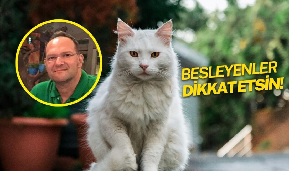 Sakarya’nın Sapanca ilçesinde sokak hayvanlarına gösterdiği sevgi ve ilgisiyle tanınan