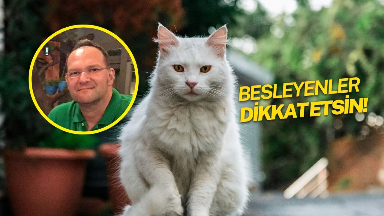 Sakarya’nın Sapanca ilçesinde sokak hayvanlarına gösterdiği sevgi ve ilgisiyle tanınan
