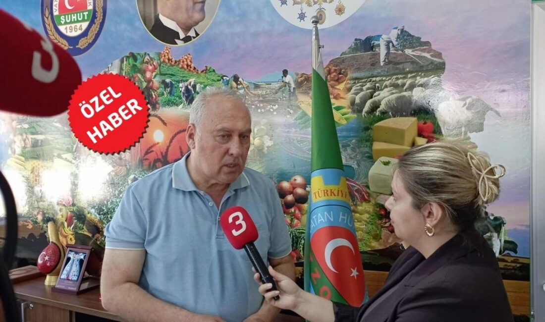 Afyonkarahisar'ın Şuhut ilçesinde patates hasadı için geri sayım başladı. Bölgenin