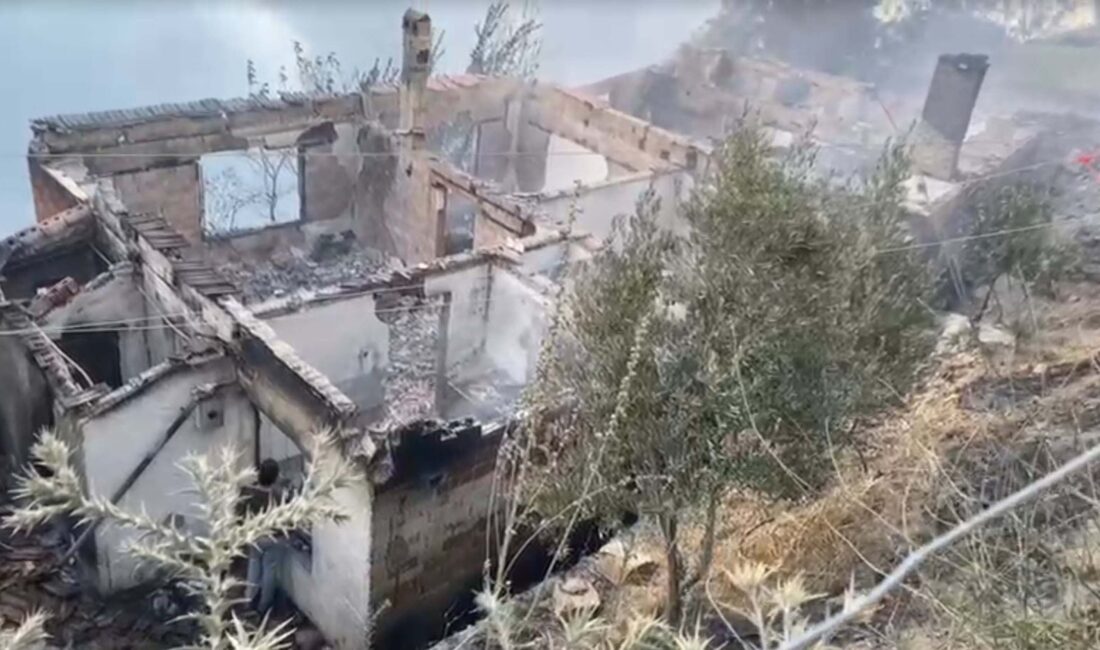 İzmir'in Ödemiş ilçesinde dün akşam saatlerinde çıkan ve rüzgarın etkisiyle