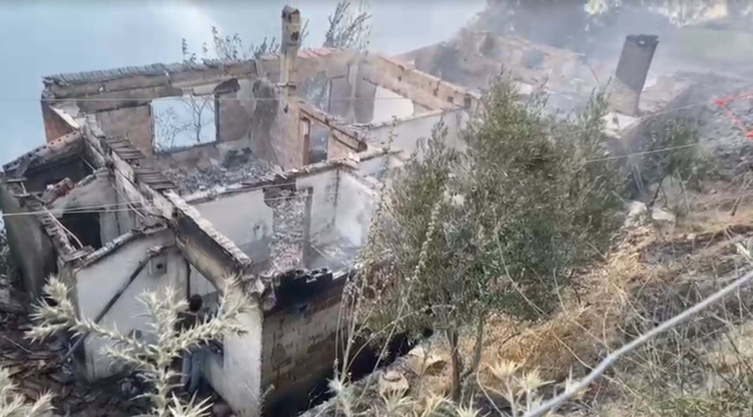 İzmir'in Ödemiş ilçesinde dün akşam saatlerinde çıkan ve rüzgarın etkisiyle