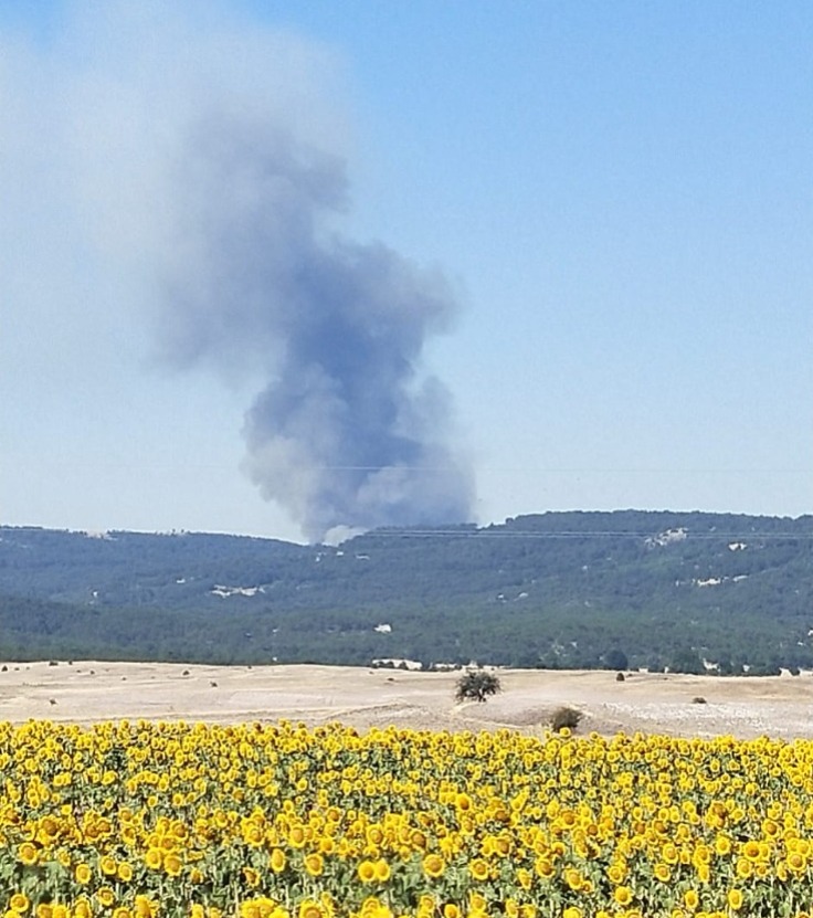Afyonkarahisar-Eskişehir yolu üzerindeki Kırka mevkiindeki ormanlık alanda, sabah saatlerinde henüz