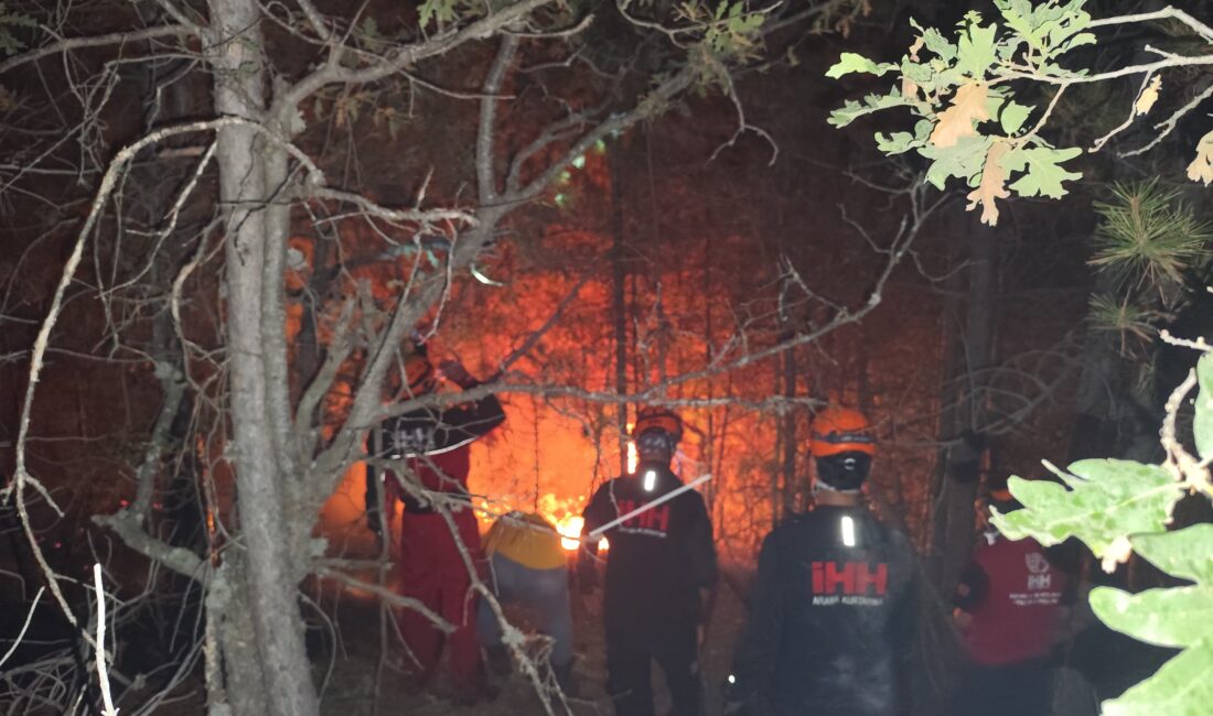 Afyonkarahisar’ın Sarıcaova Köyü ile Eskişehir’in Fethiye Mahallesi’nde meydana gelen orman