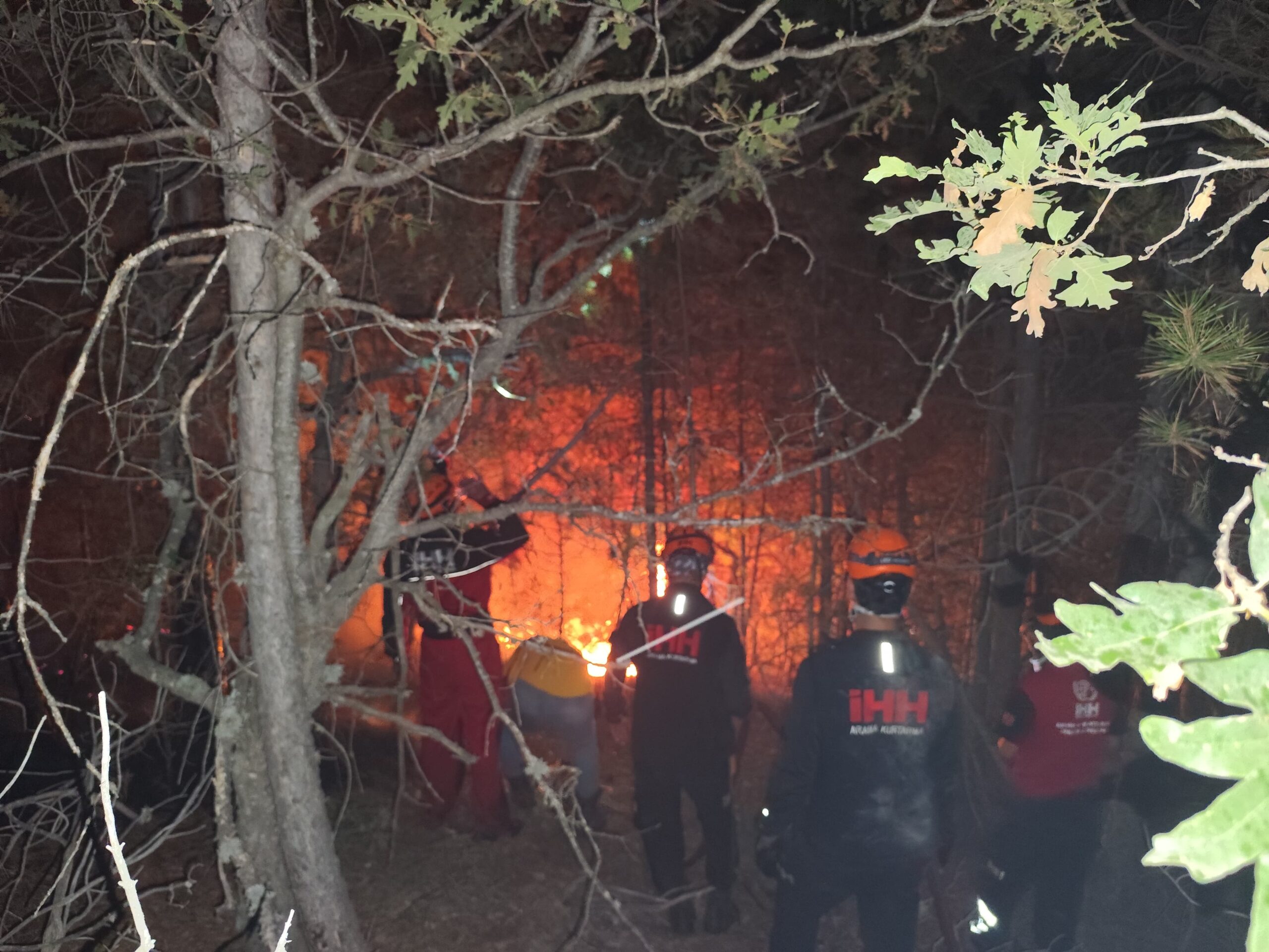 Afyonkarahisar’ın Sarıcaova Köyü ile Eskişehir’in Fethiye Mahallesi’nde meydana gelen orman