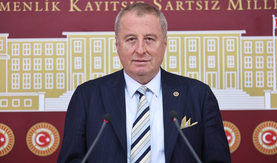 
İYİ Parti Genel Başkan Yardımcısı ve Afyonkarahisar Milletvekili  Hakan