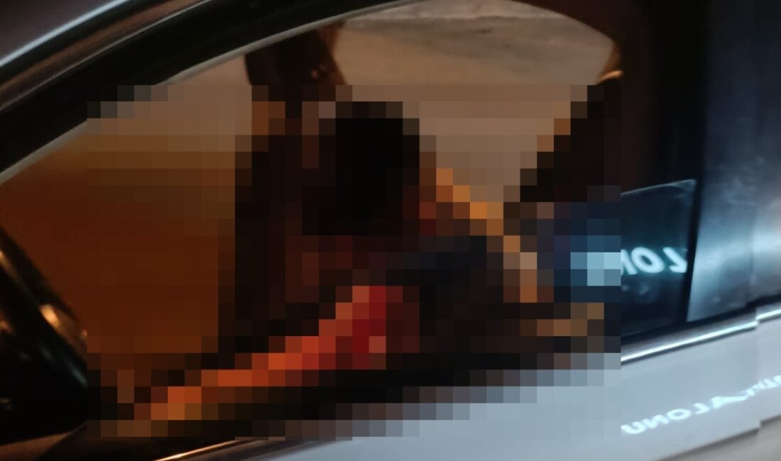 Elazığ'da yaşanan üzücü olayda, 28 yaşındaki bir şahıs, arkadaşıyla araç