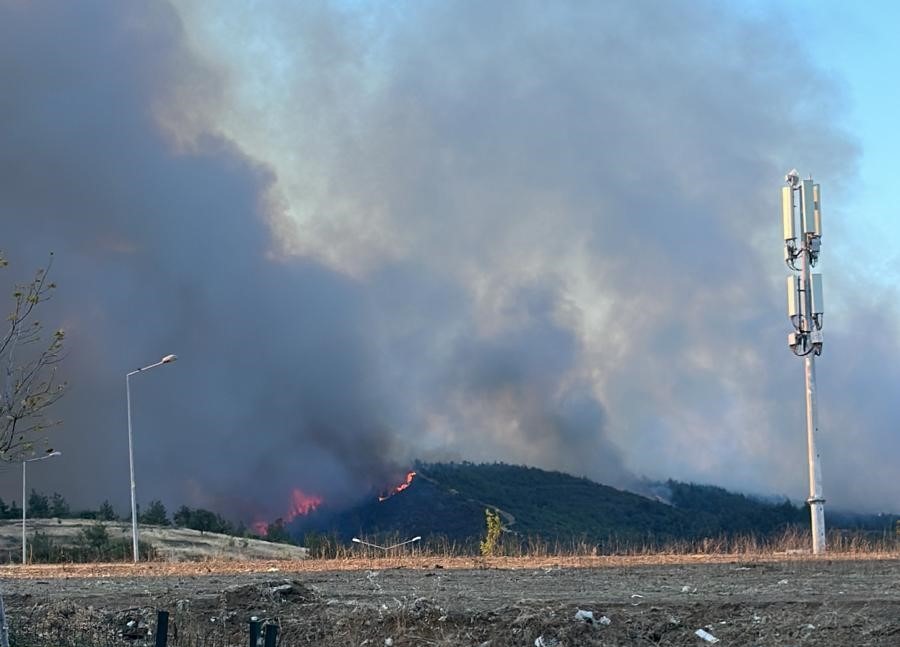 Bursa'nın Orhaneli ve Gürsu ilçelerinde akşam saatlerinde şiddetli lodosun etkisiyle