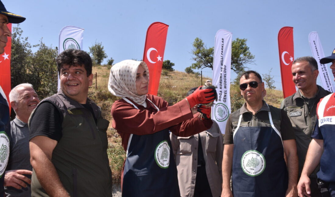 AFYONKARAHİSAR (AA) – Afyonkarahisar'da yaban hayatının korunması ve doğal dengeyi