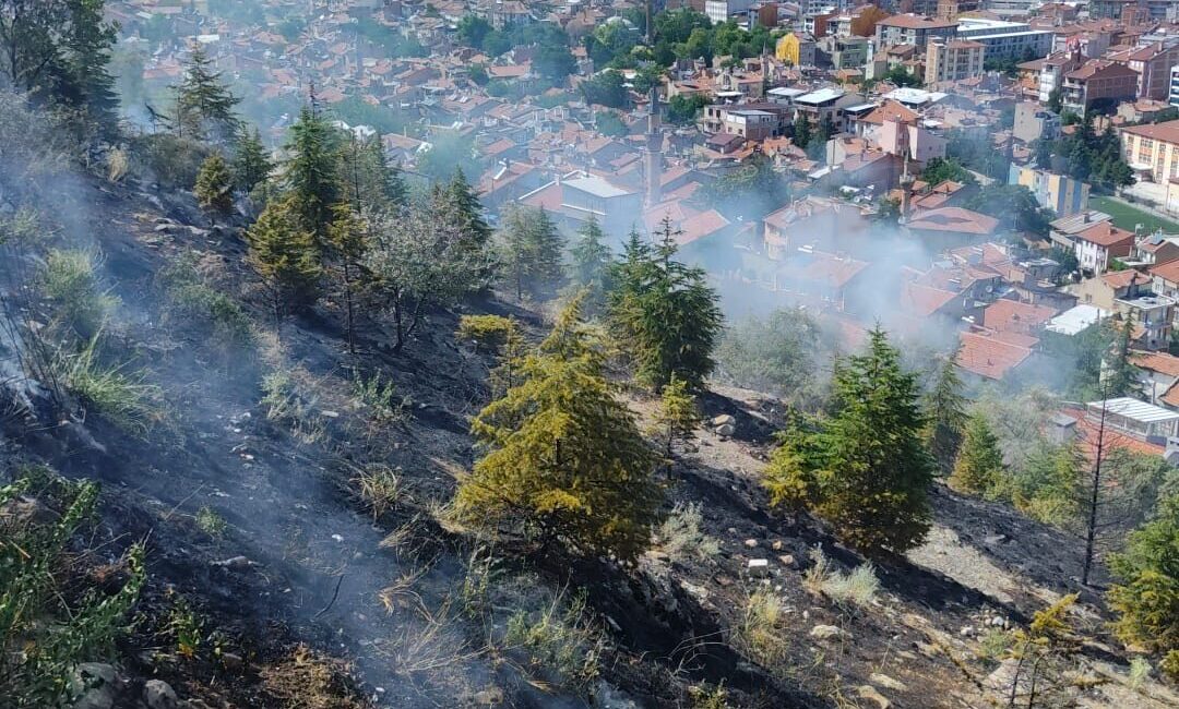 AFYONKARAHİSAR (AA) – Afyonkarahisar'da ağaçlık alanda çıkan ot yangını söndürüldü.