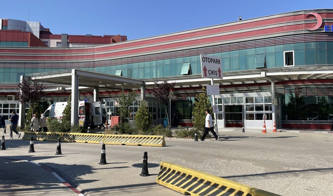 AFYONKARAHİSAR (AA) – Afyonkarahisar'da tedavi gören 5 orman yangını yaralısının