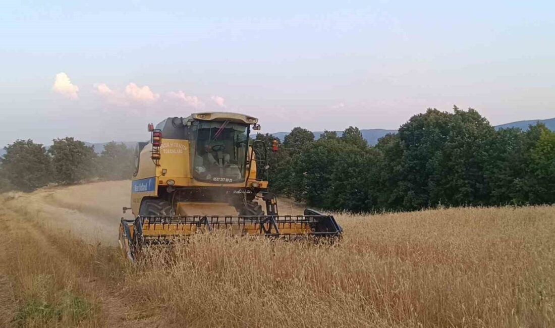 Bilecik’in Pazaryeri ilçesinde arpa ve buğday hasadı başladı. Mevsim normallerinin