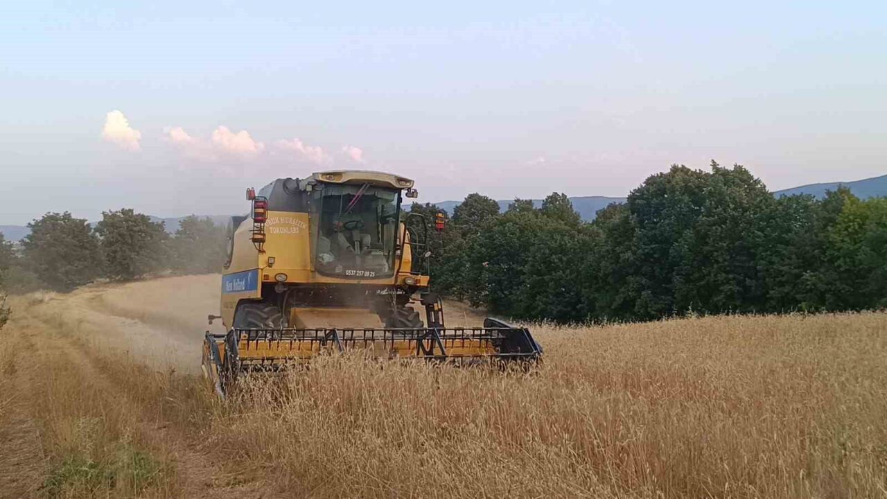 Bilecik’in Pazaryeri ilçesinde arpa ve buğday hasadı başladı. Mevsim normallerinin