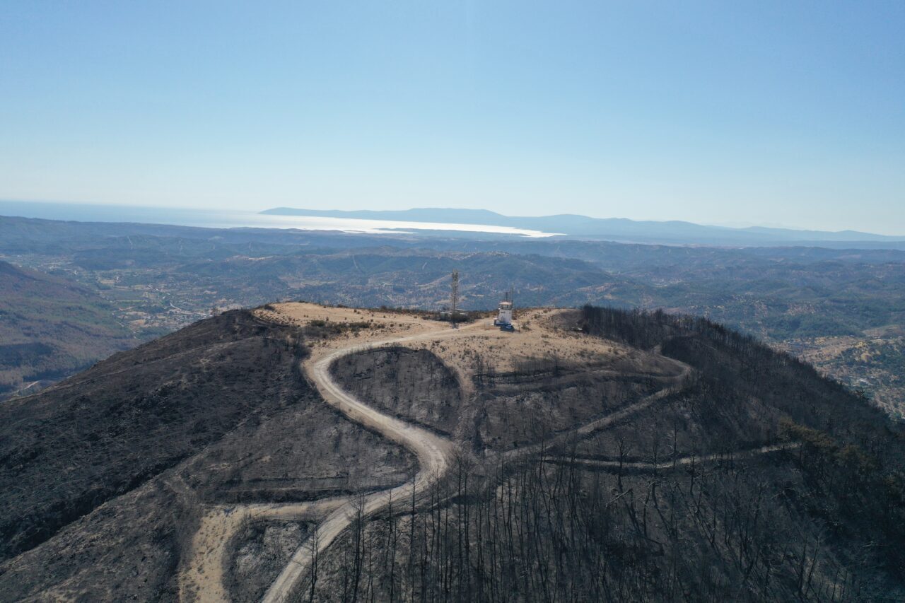 İzmir’in Menderes ilçesinde çıkan orman yangınını ilk fark eden kule